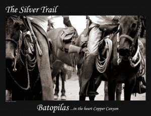 The Silver Trail